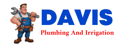 Trusted plumber in FALCON